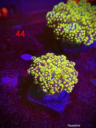1F71CC40-6F14-42E5-96C5-5AC2D58B2F9C.jpeg 1F71CC40-6F14-42E5-96C5-5AC2D58B2F9C.jpeg