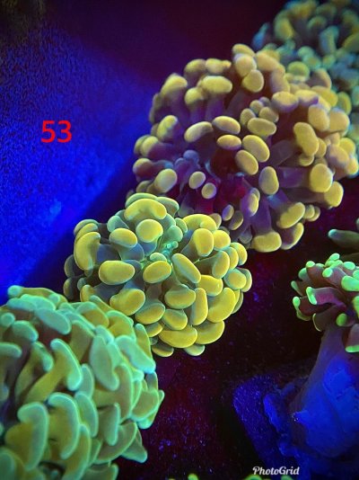 A58F4CE4-21D4-4F84-B8EB-1047EAE47A2D.jpeg A58F4CE4-21D4-4F84-B8EB-1047EAE47A2D.jpeg