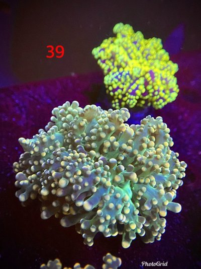 8E5EA278-F67D-40B1-BDB6-3E56A4E96351.jpeg 8E5EA278-F67D-40B1-BDB6-3E56A4E96351.jpeg