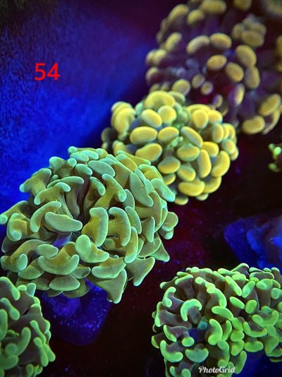 A94B2CB0-6023-4C6A-AB42-739C2AC73D11.jpeg A94B2CB0-6023-4C6A-AB42-739C2AC73D11.jpeg
