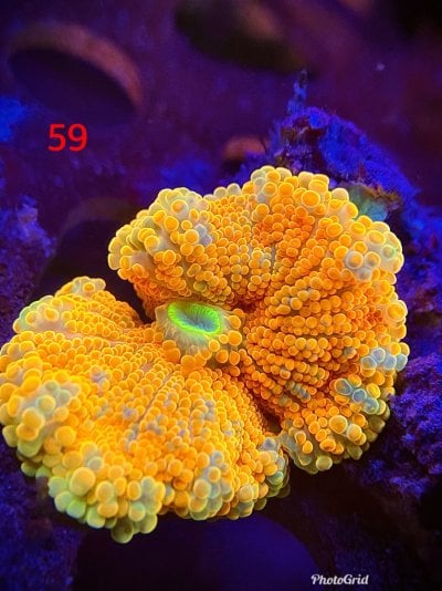 9F983E2C-79DB-4D5B-A2FE-63C181586627.jpeg 9F983E2C-79DB-4D5B-A2FE-63C181586627.jpeg