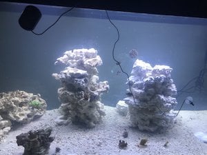 The Ways Alkalinity can Accumulate in a Reef Tank