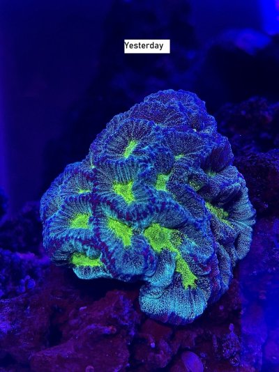 IMG_5483.jpg IMG_5483.jpg