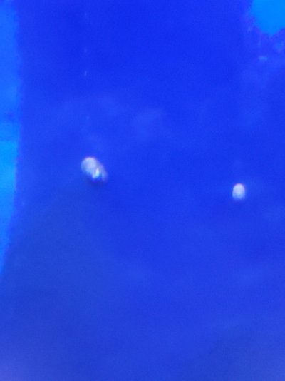20221129_165447.jpg 20221129_165447.jpg