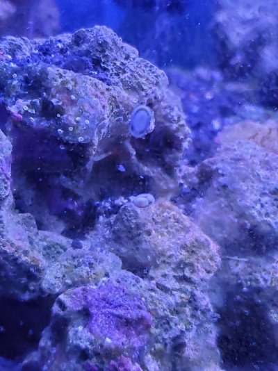 20221129_165516.jpg 20221129_165516.jpg
