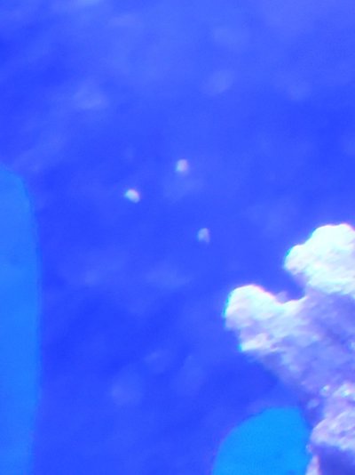 20221129_165533.jpg 20221129_165533.jpg