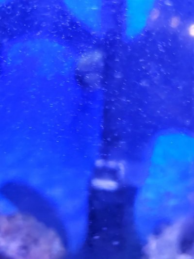 20221129_171320.jpg 20221129_171320.jpg