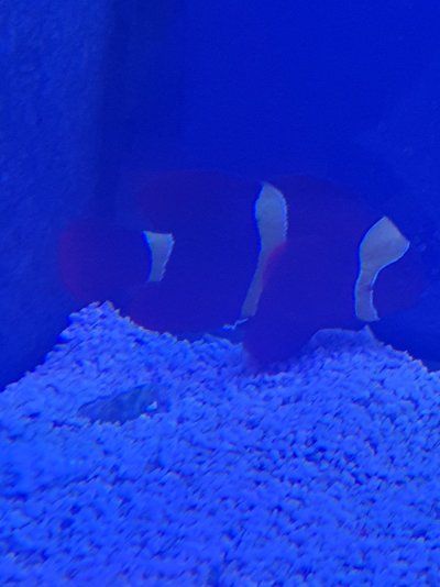 20221215_185836.jpg