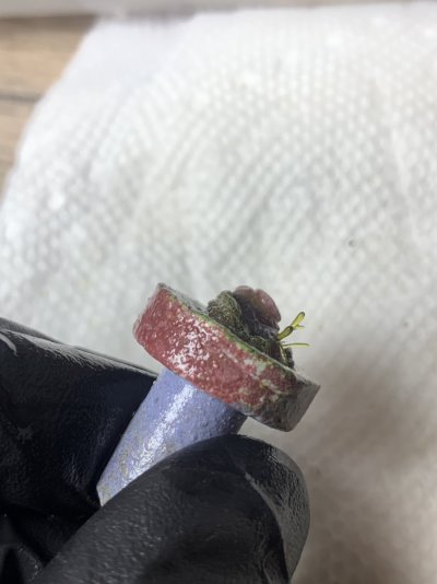 F002609D-0C05-496D-936B-83A8B3FA6515.jpeg