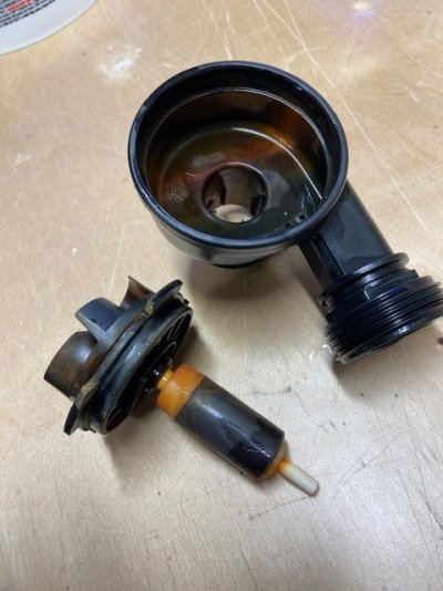 image1.jpeg