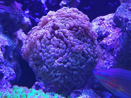 20230107_154915.jpg