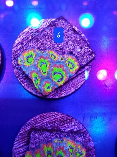 20230112_201456.jpg
