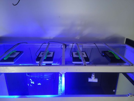 Compress_20230114_215055_5076.jpg