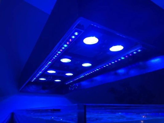 radion g4 pro - OR3 led bar JPG.JPG radion g4 pro - OR3 led bar JPG.JPG