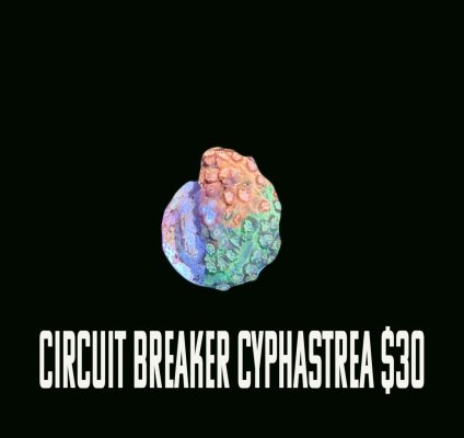 2 Circuit breaker.jpg