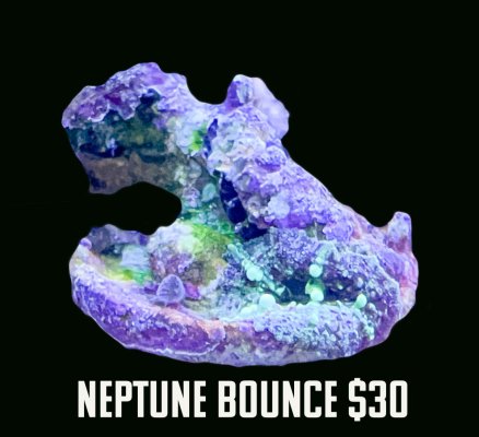 2 Neptune Bounce.jpg
