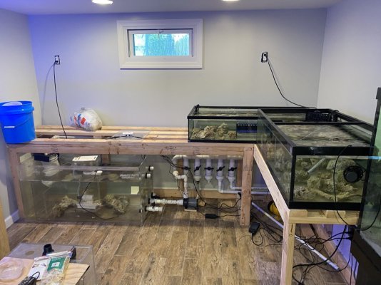 sump 1.jpeg sump 1.jpeg
