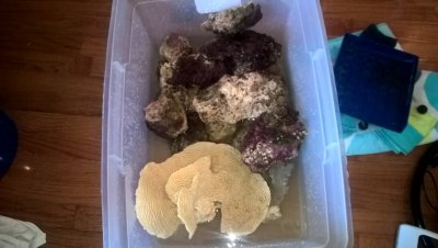 WP_20160424_09_11_24_Pro.jpg
