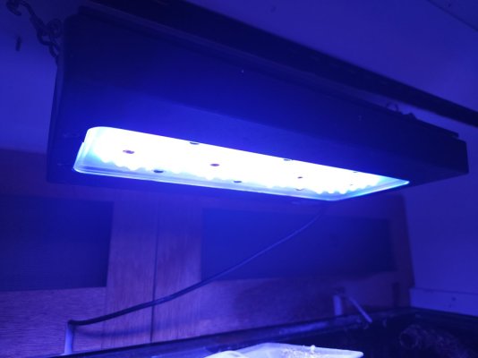 20230209_124130.jpg