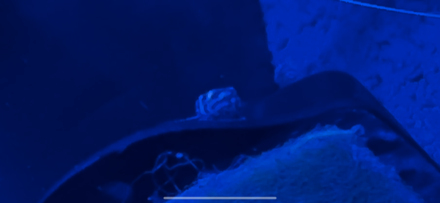 7E843694-5311-4990-81D9-BD08FB4767F4.png