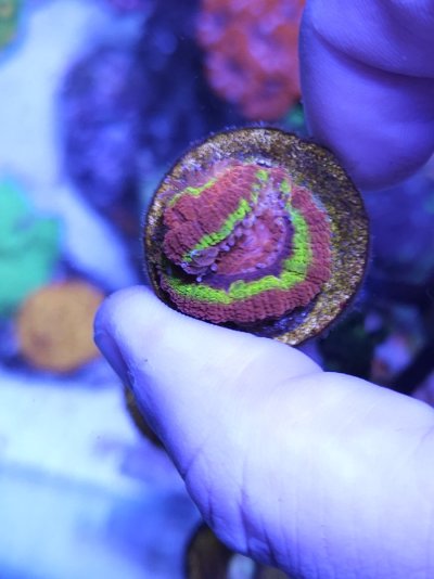 iron man acan (2).jpg iron man acan (2).jpg