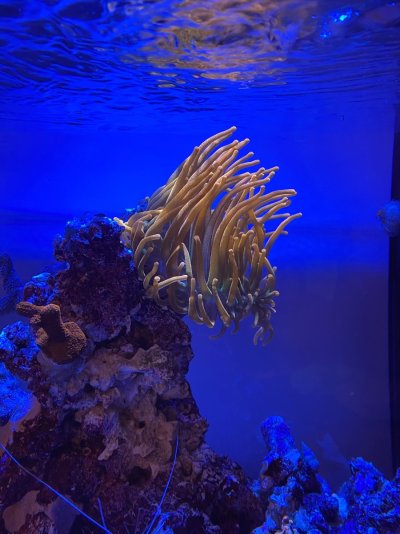 5C5A60C0-D32D-4E7D-B928-F799AE775D4E.jpeg