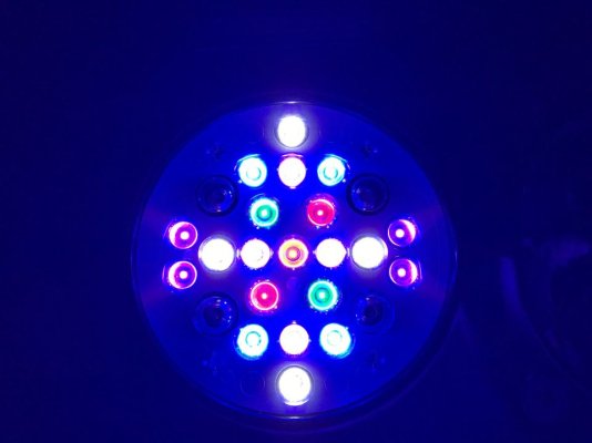 331069151_6141047065946114_4653937428186309062_n.jpg 331069151_6141047065946114_4653937428186309062_n.jpg
