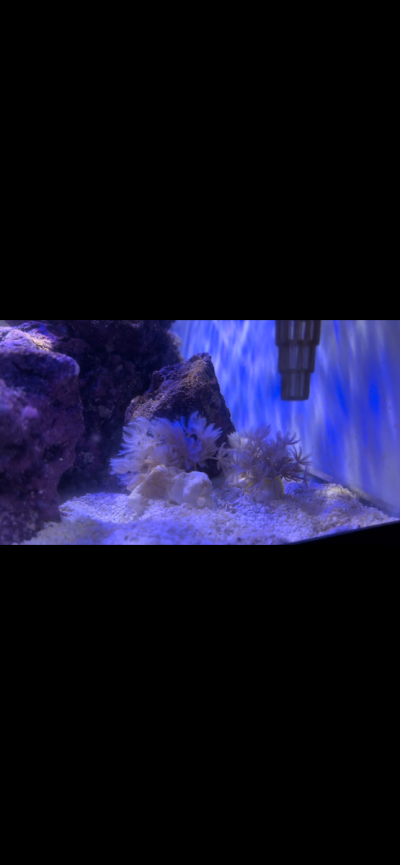 3D8BD09B-C985-4964-A208-73DB9579A853.png 3D8BD09B-C985-4964-A208-73DB9579A853.png