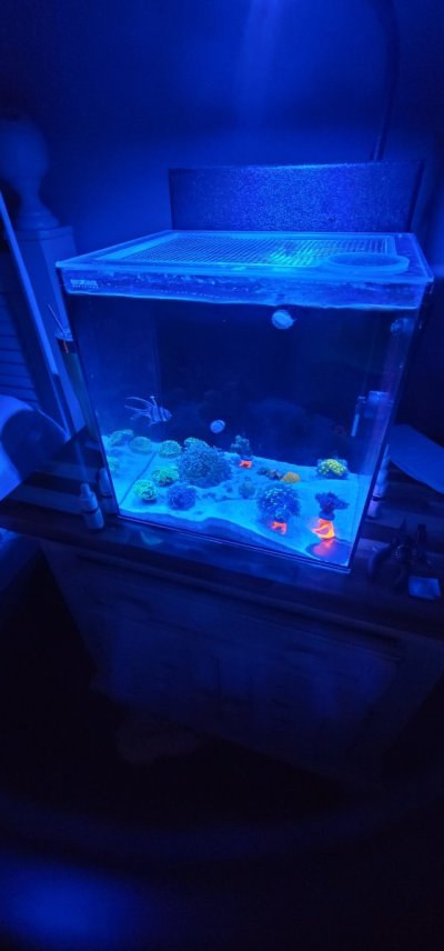 20230317_190943.jpg