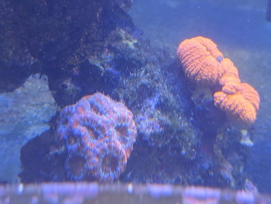 PXL_20230326_162718984.jpg