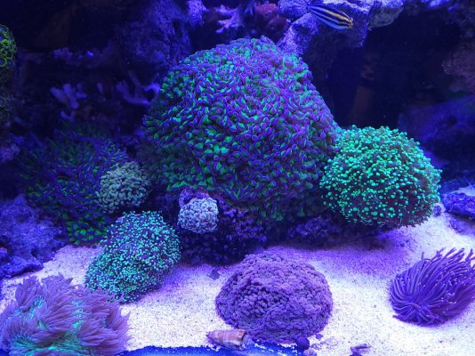 20230329_174459.jpg