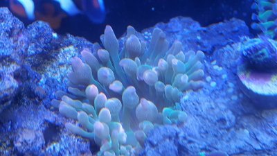 20160518_165318.jpg