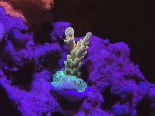 20220917_235821.jpg