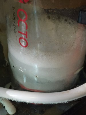 image.jpeg