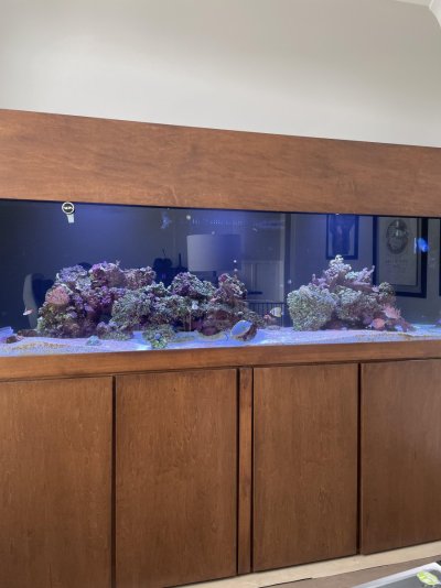 FTS.jpg FTS.jpg