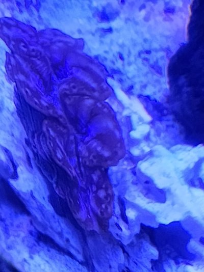 20230518_094053.jpg