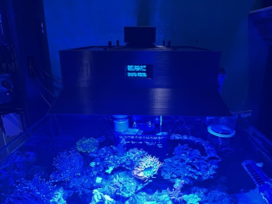 Reefi Uno 3_ 4 sided.jpg