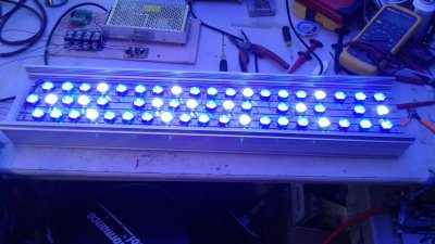 20160601_161945.jpg