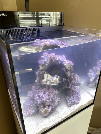 Rock Climbers Attempt at a Nano Tank