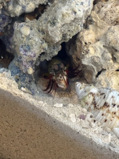 IMG_2663.jpeg IMG_2663.jpeg