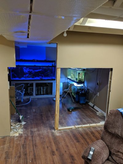 IMG_20191006_205826.jpg