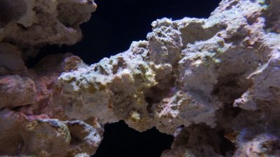 20160615_184411.jpg