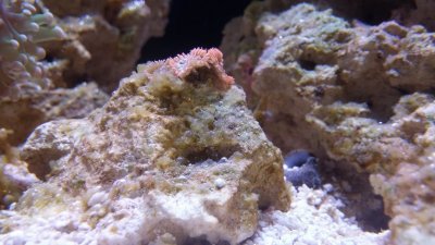 20160615_184425.jpg