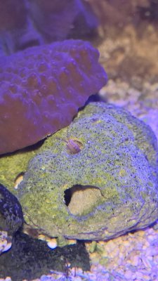 WP_20160617_18_07_27_Pro.jpg