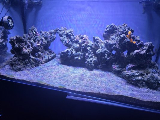 20230704_213215[1].jpg