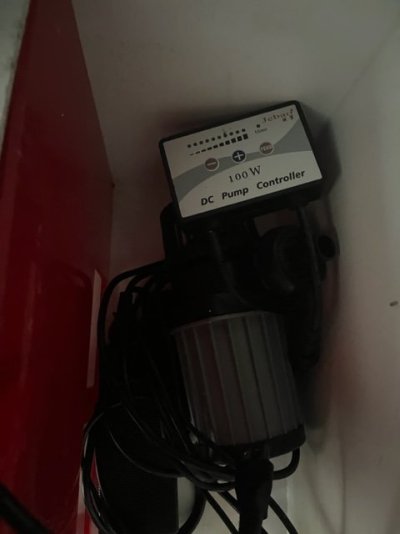 IMG_3667.jpg IMG_3667.jpg