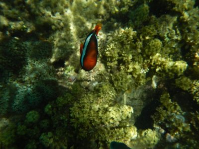 IMG_9548.JPG
