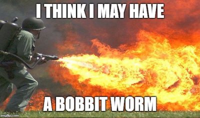 bobbit worm meme.jpg