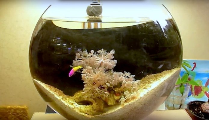 jaubert-reef-bowl.jpg