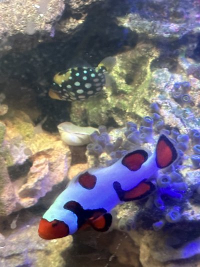 IMG_1957.jpeg